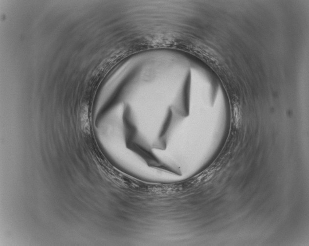 X0000069400963200606021652