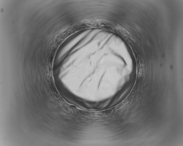X0000069400966200606021652
