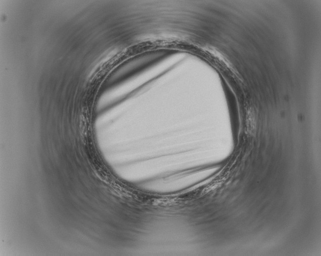 X0000069400967200606021652