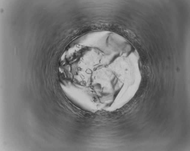 X0000069401009200606021651