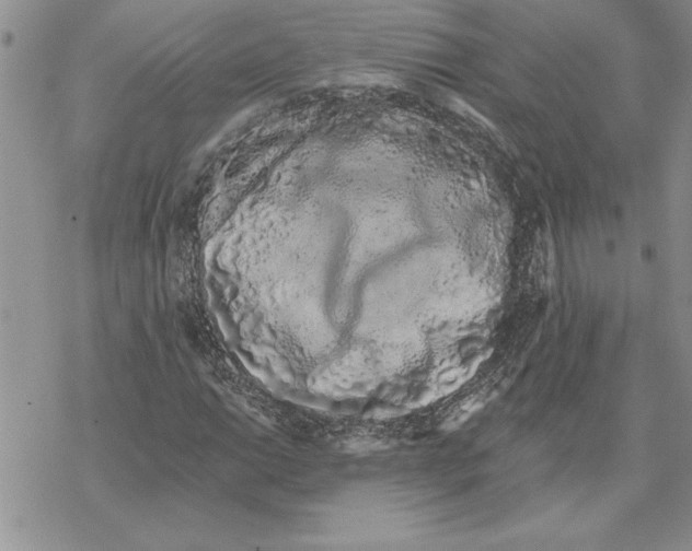 X0000069401014200606021651