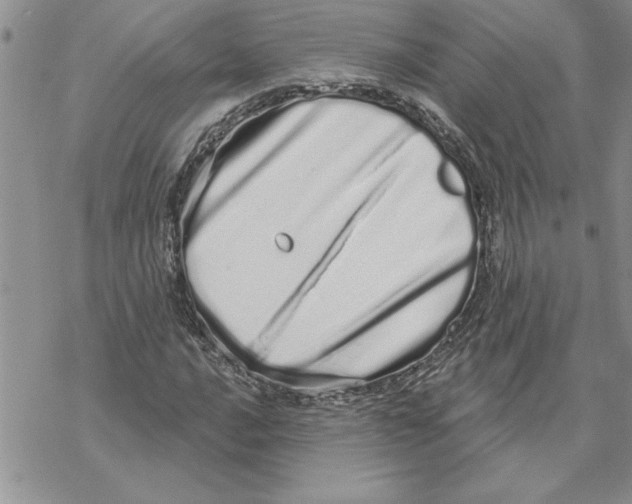 X0000069401016200606021651