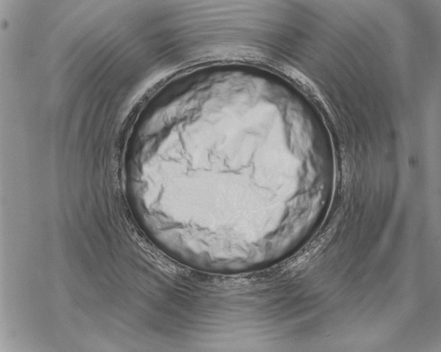 X0000069401019200606021651