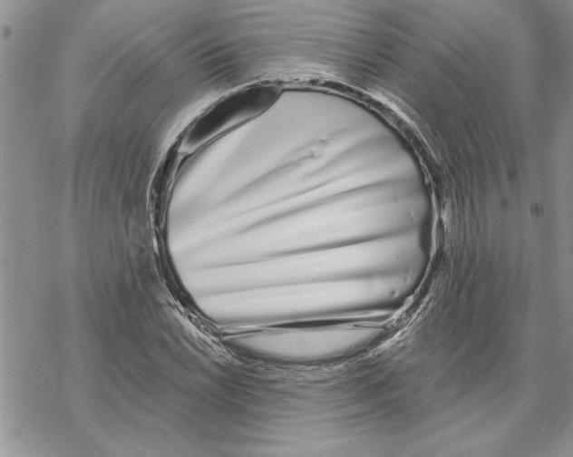 X0000069401022200606021651
