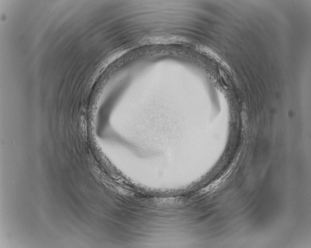 X0000069401025200606021651