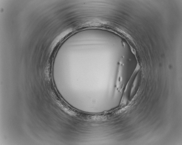 X0000069401026200606021651