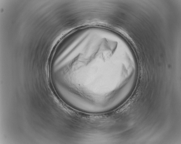 X0000069401032200606021651