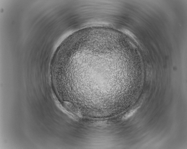 X0000069401038200606021651