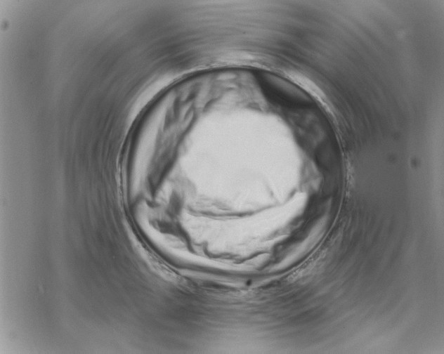 X0000069401047200606021652