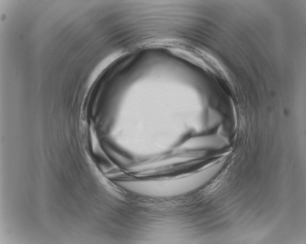X0000069401050200606021652