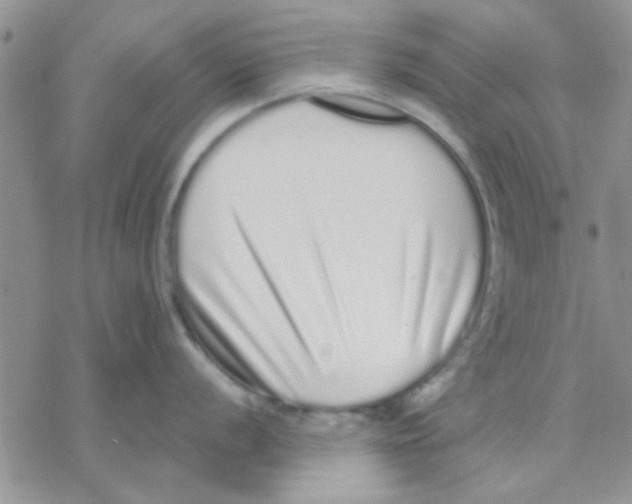 X0000069401056200606021652