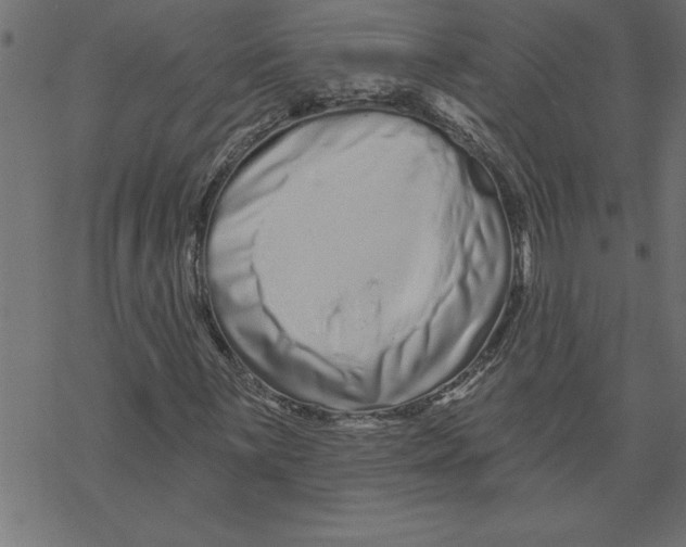 X0000069401059200606021651