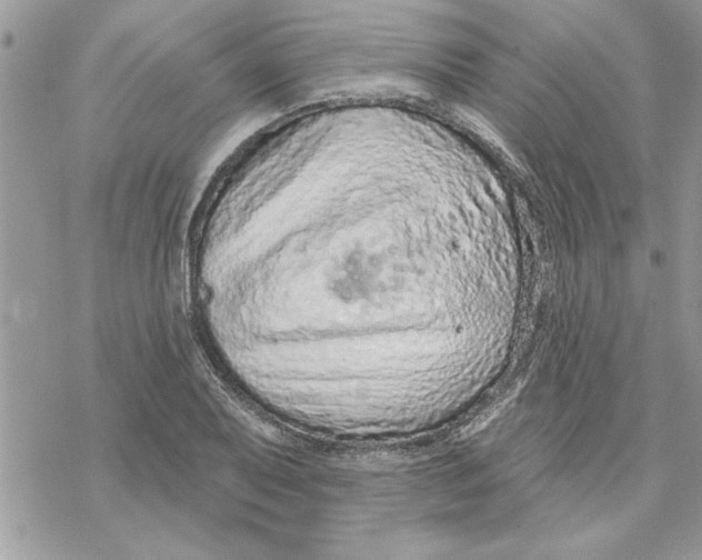 X0000069401079200606021651