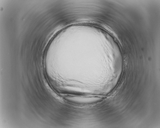 X0000069401091200606021650