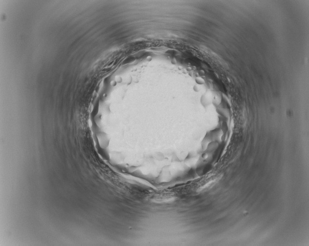 X0000069401110200606021649