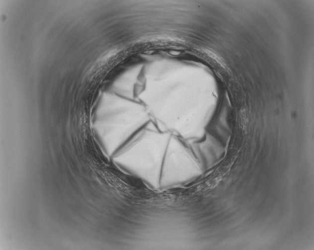X0000069401111200606021649