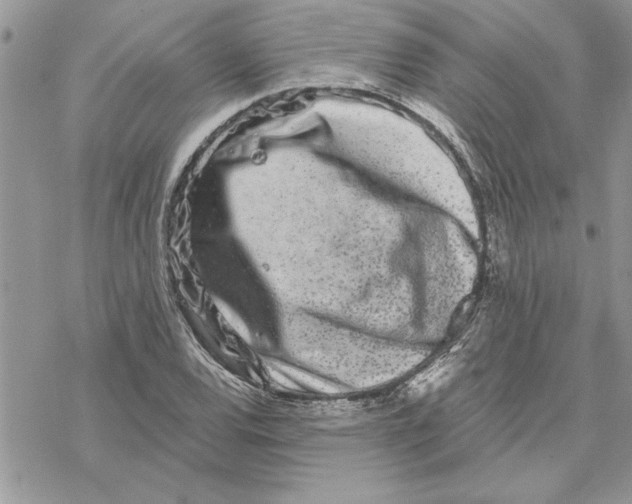 X0000069401120200606021650