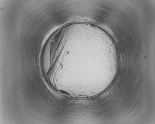 X0000069401128200606021650