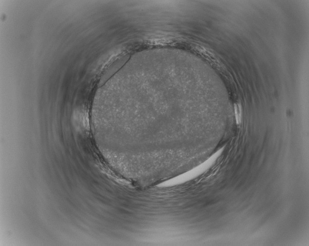 X0000069401155200606021649