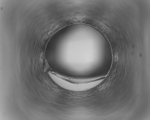 X0000069401156200606021649