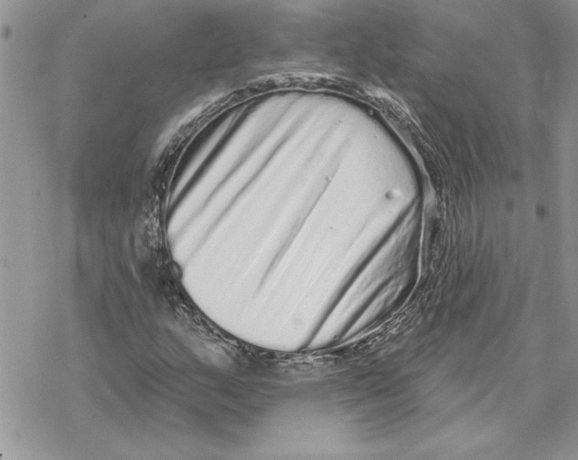 X0000069401159200606021649