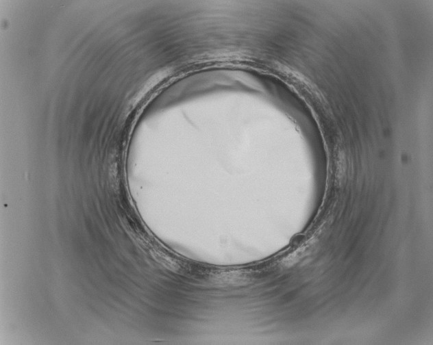 X0000069401162200606021649