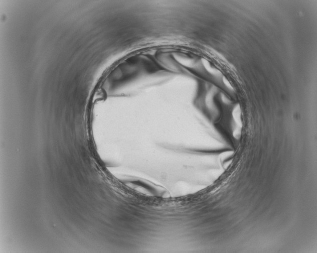 X0000069401174200606021649