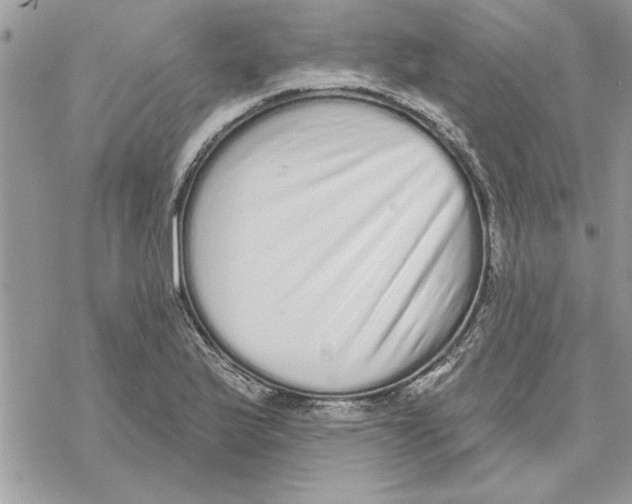 X0000069401175200606021649