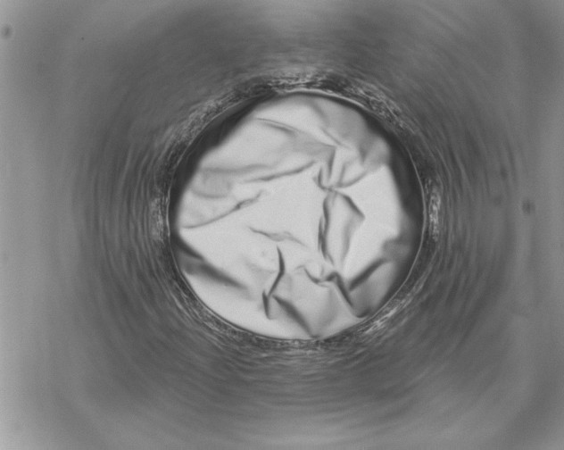X0000069401204200606021648