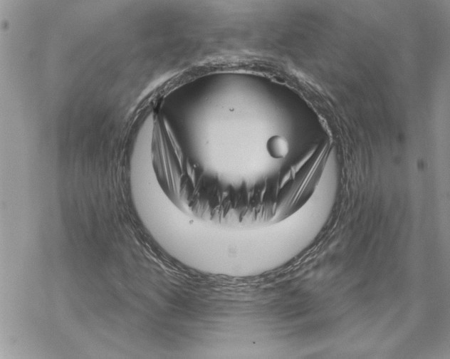 X0000069401206200606021648