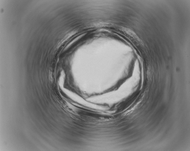 X0000069401209200606021648
