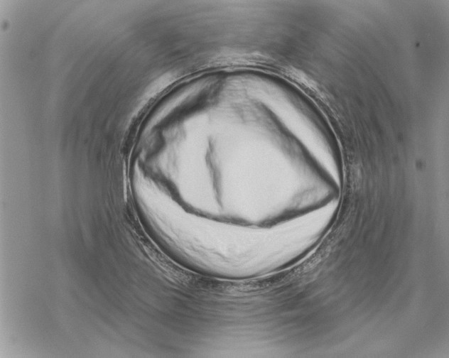 X0000069401219200606021648