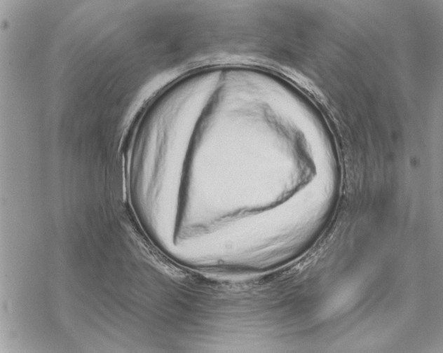 X0000069401223200606021648