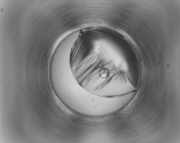 X0000069401246200606021649