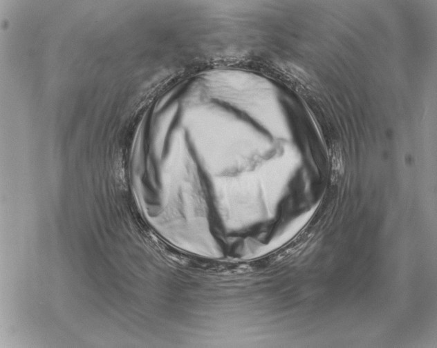 X0000069401252200606021648