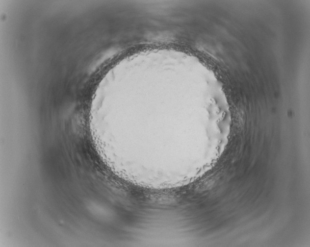 X0000069401254200606021648