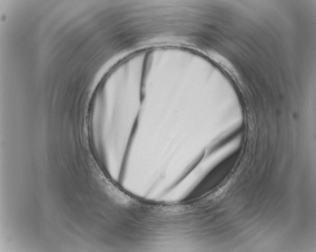 X0000069401288200606021647