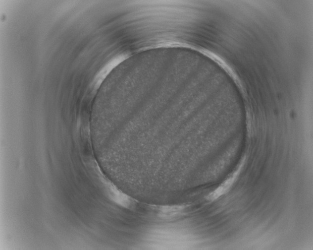 X0000069401289200606021647