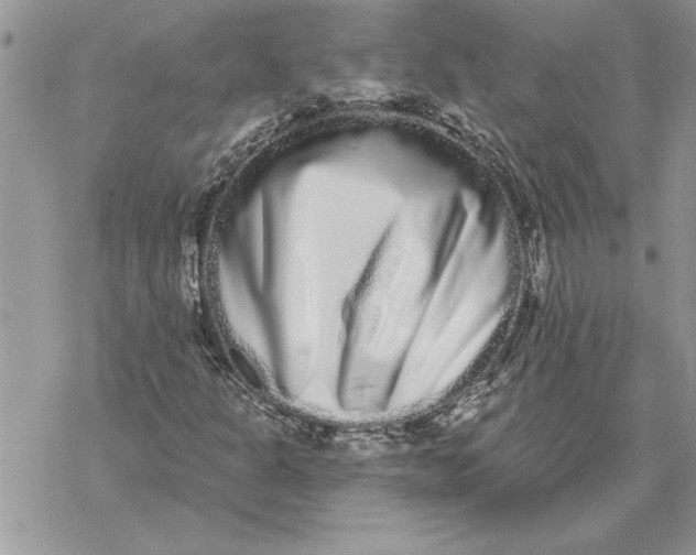 X0000069401301200606021646