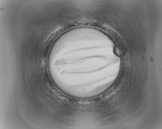 X0000069401302200606021646