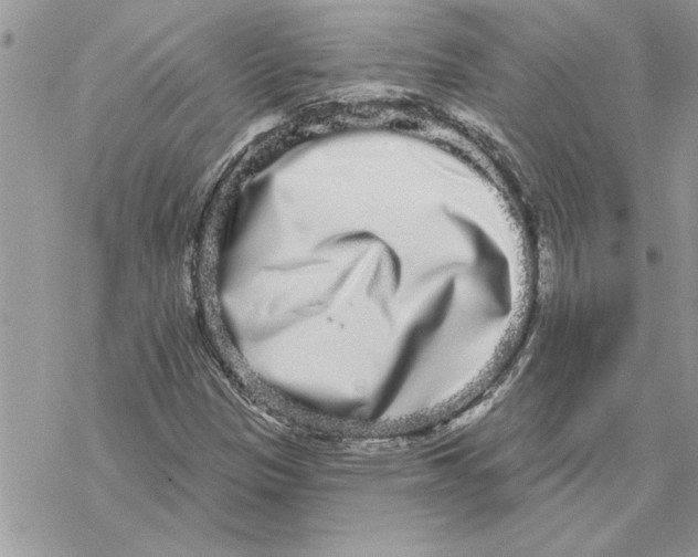 X0000069401305200606021646