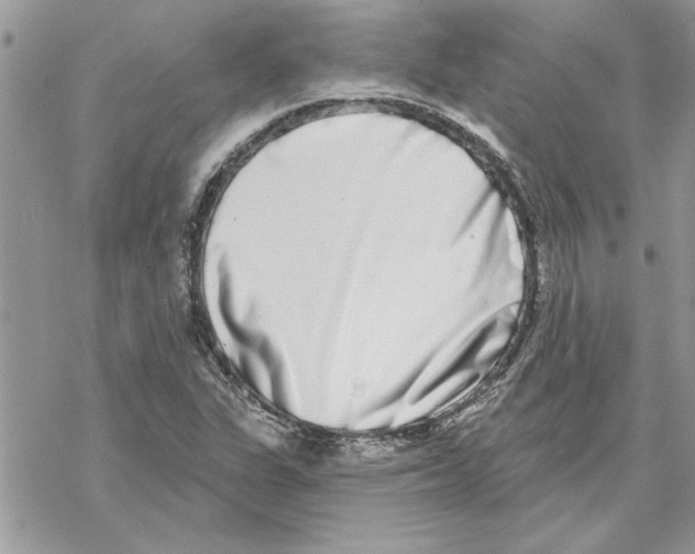 X0000069401311200606021647