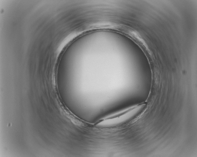 X0000069401328200606021647