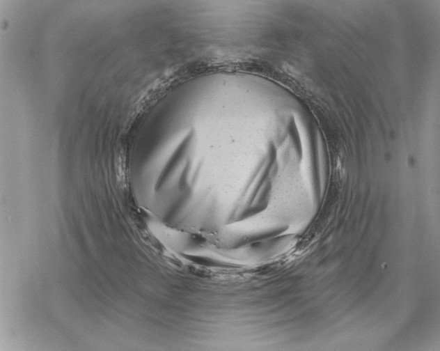 X0000069401348200606021646