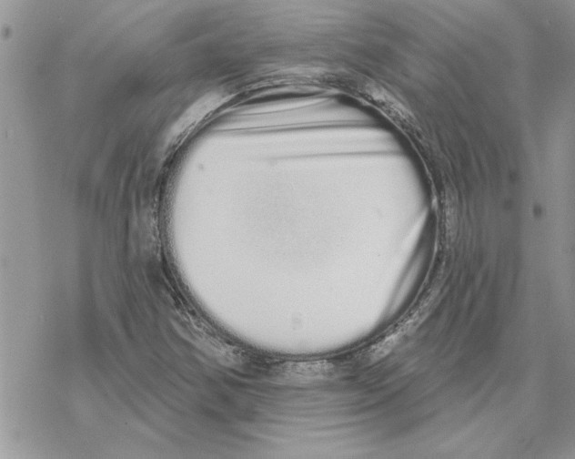 X0000069401354200606021646