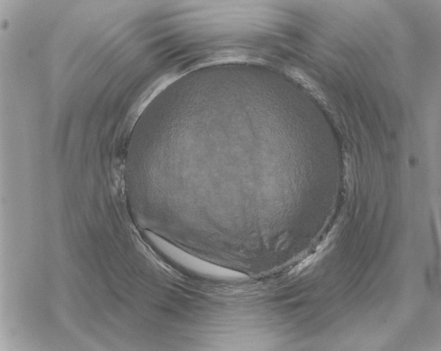 X0000069401369200606021646