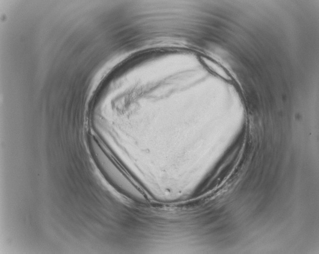 X0000069401379200606021646
