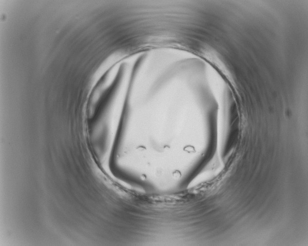 X0000069401386200606021646