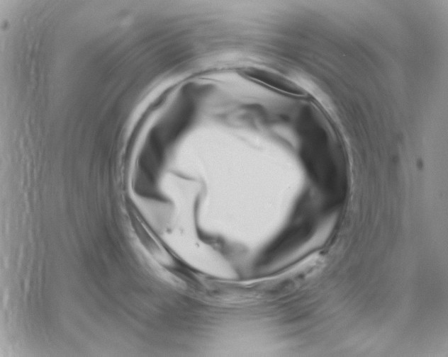 X0000069401392200606021646