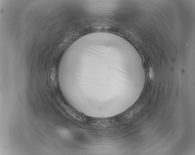 X0000069401396200606021645